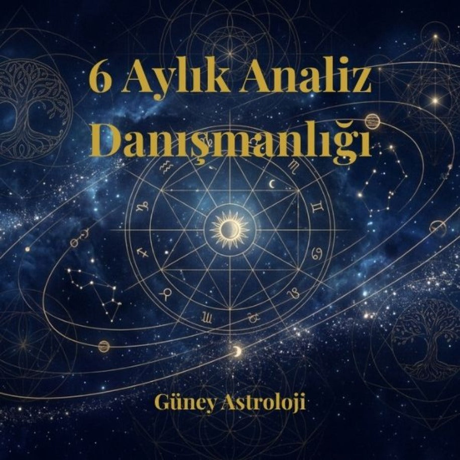 6 Aylık Analiz Danışmanlığı